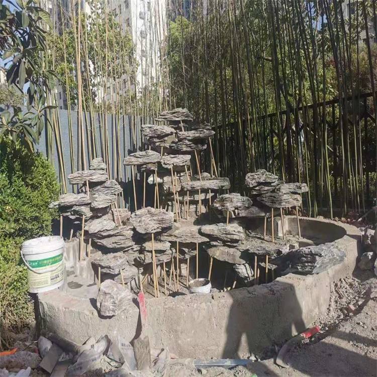 微信圖片_20210611175853.jpg