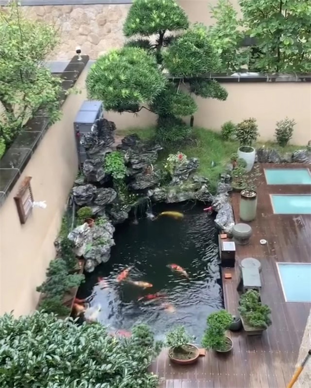 红安室内鱼池水景