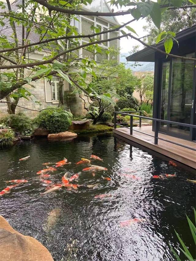 庭院魚池生物過濾